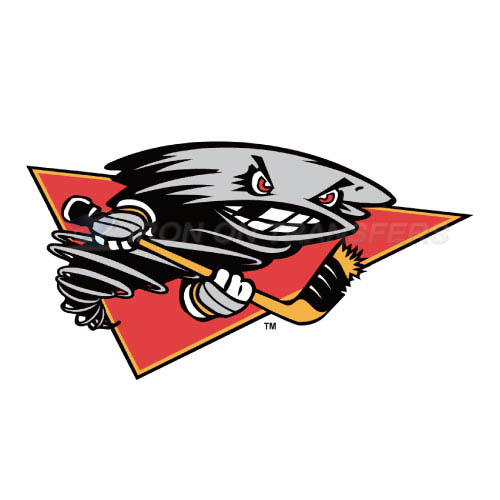 Cincinnati Cyclones Iron-on Stickers (Heat Transfers)NO.9241